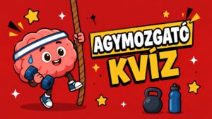 napi kvíz