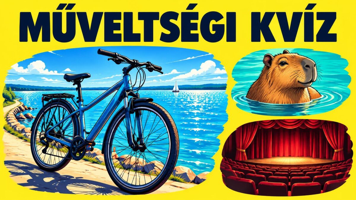 Kvíz