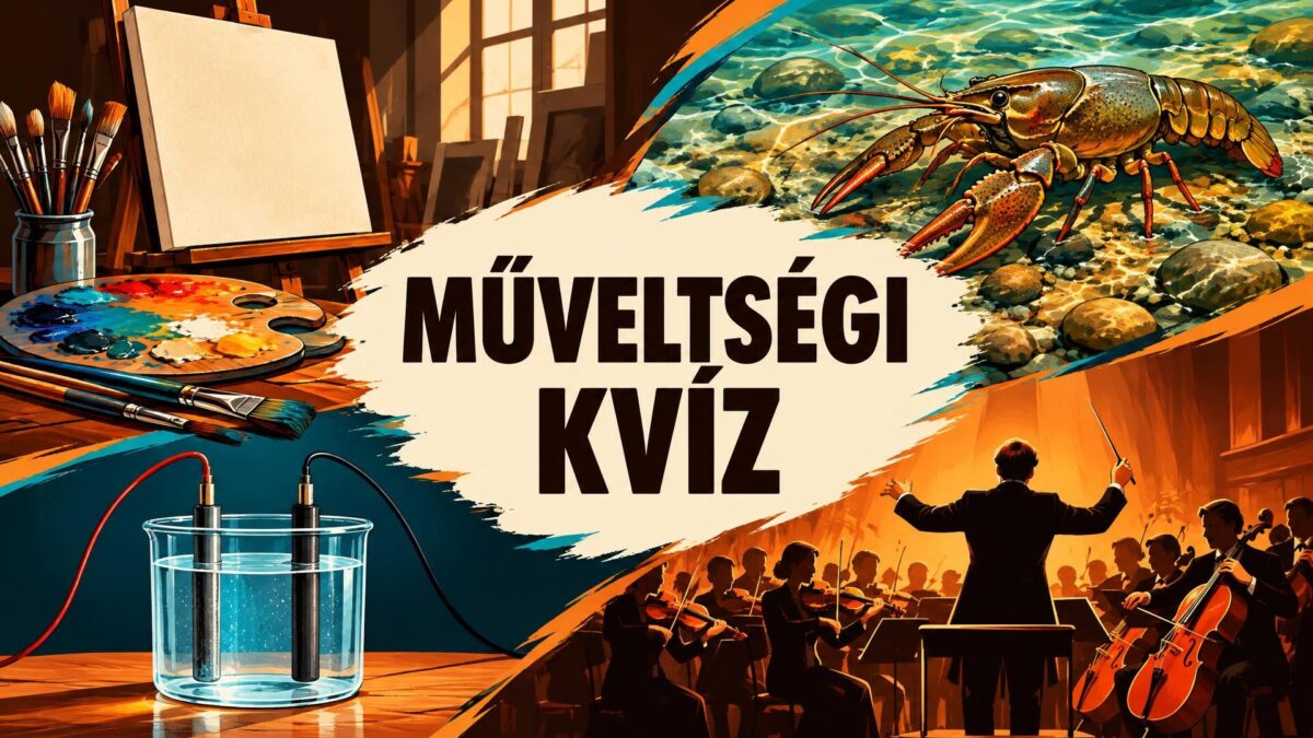 Kvíz