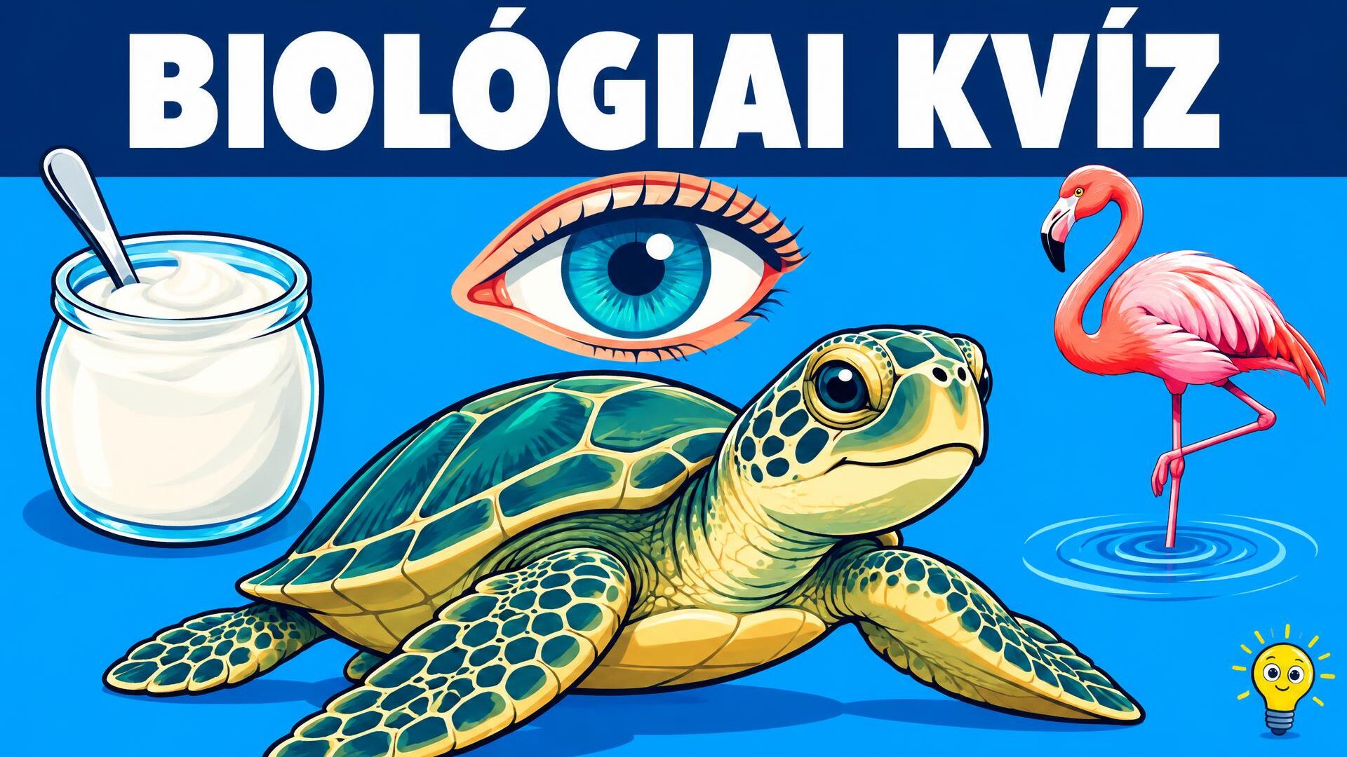 Kvíz