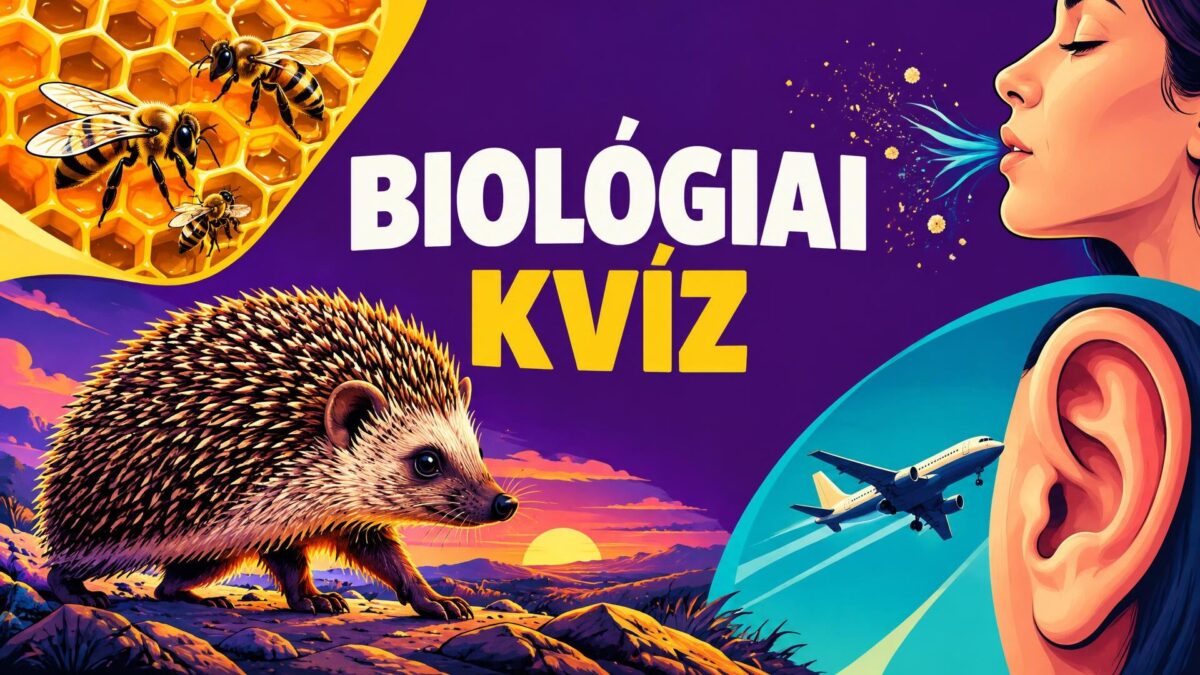 Kvíz
