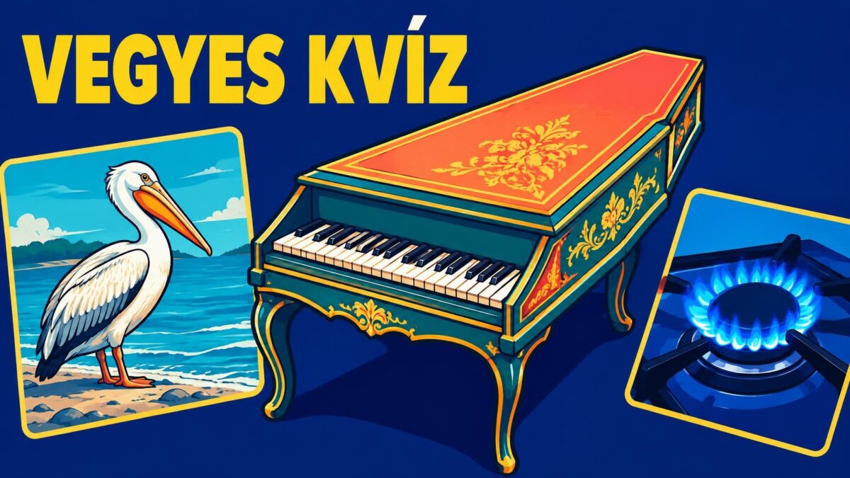 Kvíz